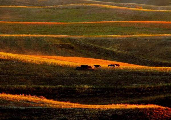 乌鲁木齐市|寒露至，秋更浓，幸福不过有人为你添衣