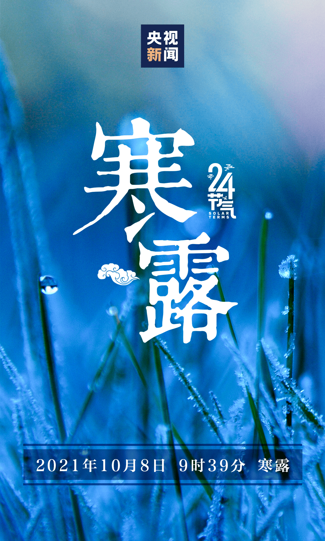 芦荻|寒露丨天冷了，多添衣