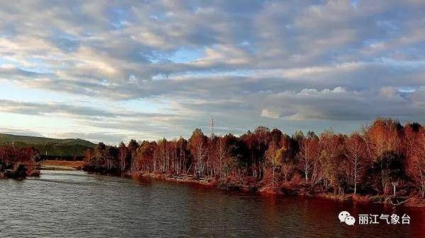 节气|寒露｜鸿雁来宾，菊有黄华