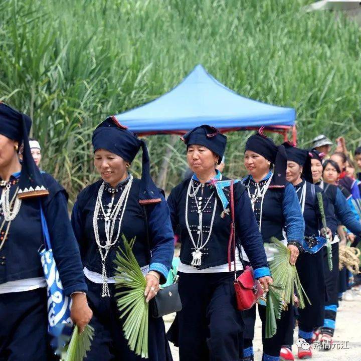 哈尼族有多少人口_哈尼药爷 哈尼族首部母语电影,讲述外人所不(2)