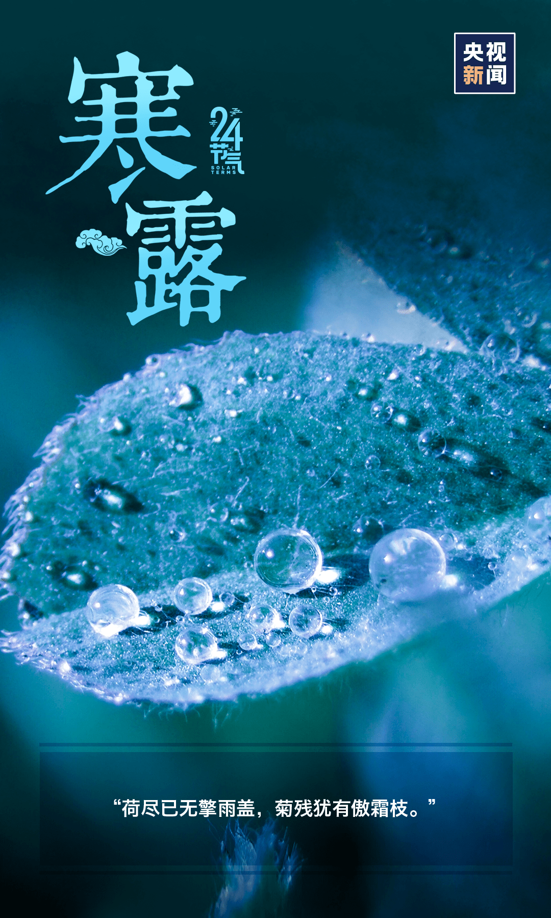 芦荻|寒露丨天冷了，多添衣