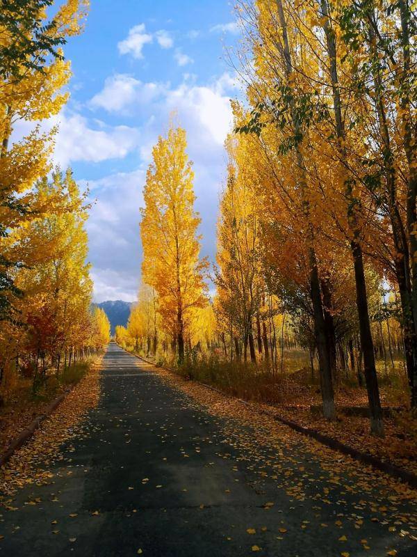 乌鲁木齐市|寒露至，秋更浓，幸福不过有人为你添衣