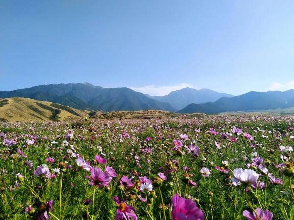 乌鲁木齐市|寒露至，秋更浓，幸福不过有人为你添衣
