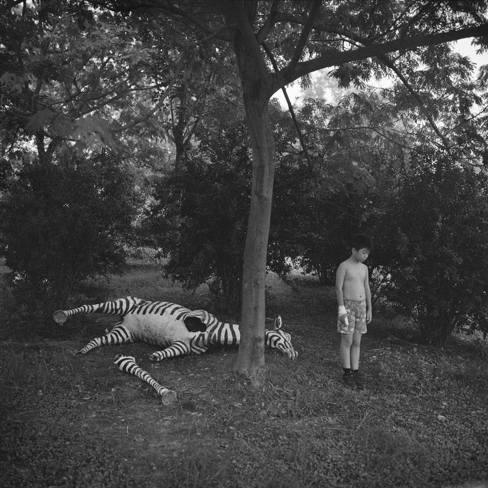 幅照片《昨天堂》：山河故人情怀落在严明身上