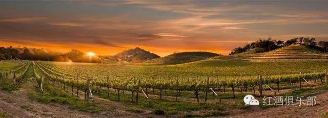图片|世界上最值得去的五大葡萄酒胜地