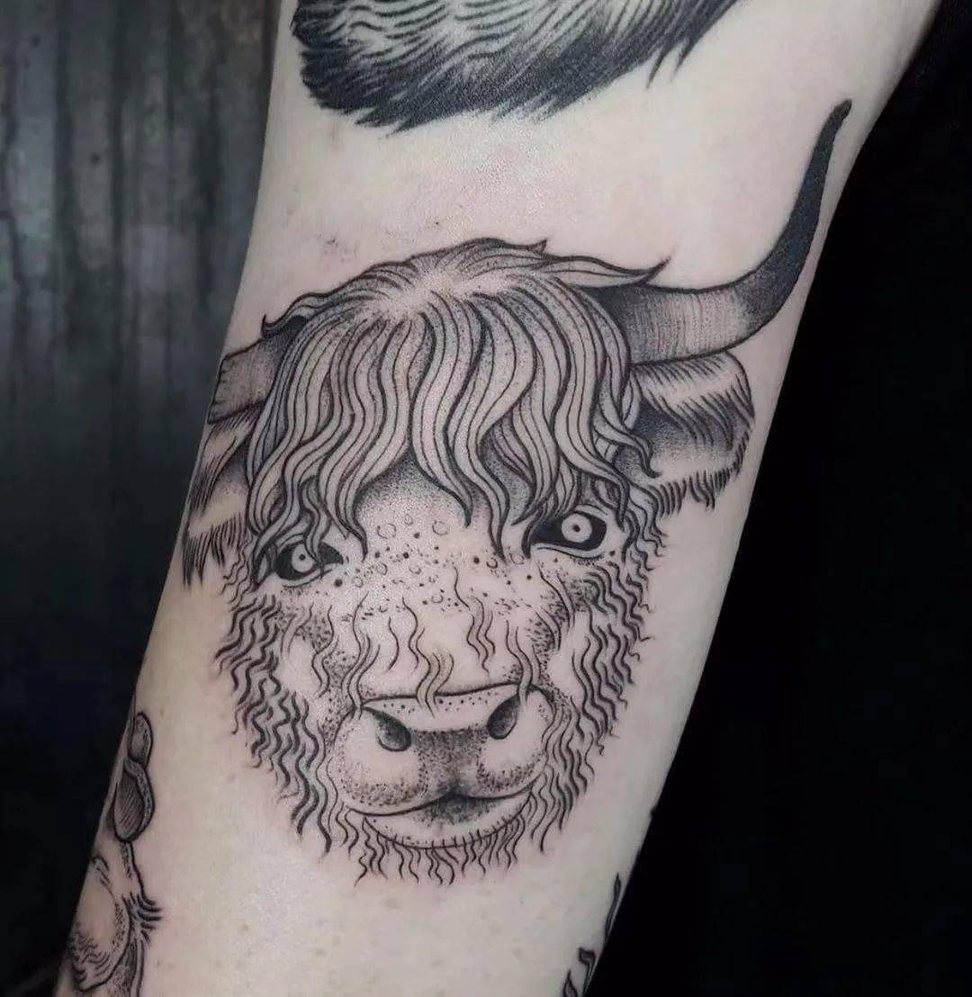 雪域高原的神舟牦牛纹身