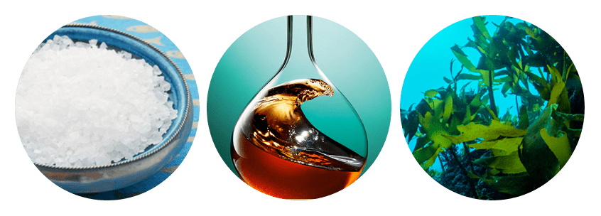 芮翰全网跟风的“雅诗兰黛高级脸”究竟长什么样？