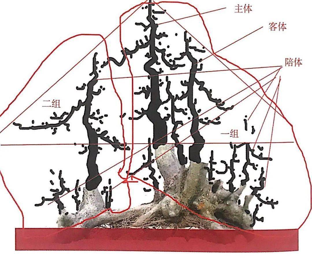 树桩盆景构思图解图片