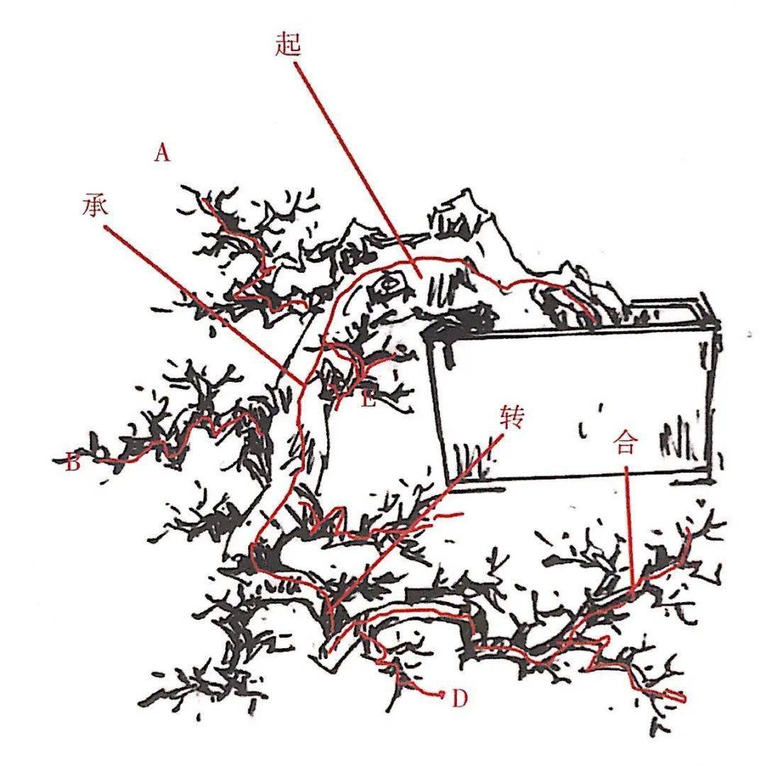 树桩盆景构思图解图片
