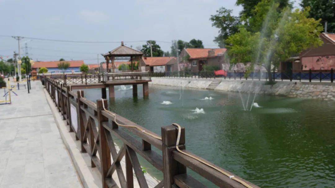 蓼兰镇巾帼书记荣获山东省乡村振兴"百名优秀女农人"荣誉称号