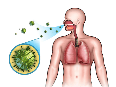 【眉县疾控提醒您】秋季注意预防流行性感冒,流行性出血热,其它呼吸道