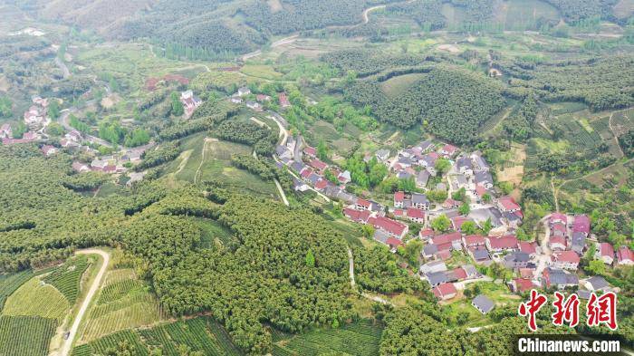 乡野|伊朗画家的“乡野情缘”：扎根中国山村带来“国际范”