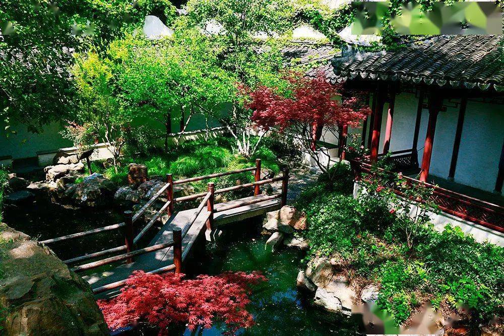 上海颐园醉白池和方塔园这么美的园林怎么能不来认识呢