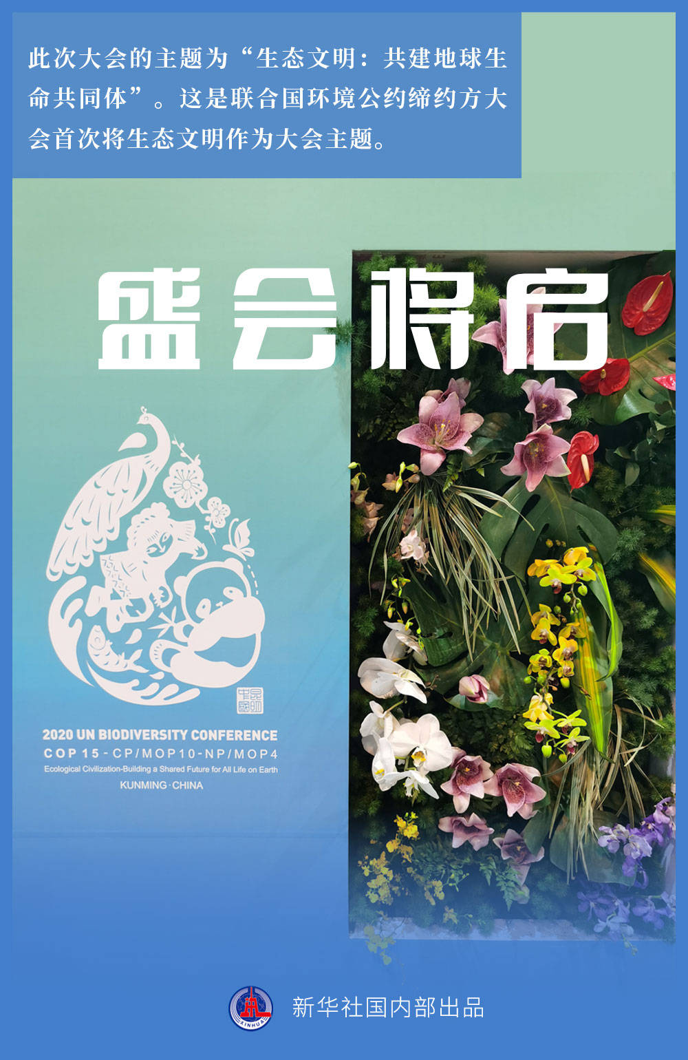 此时此刻|盛会将启！实地探访生物多样性大会会场