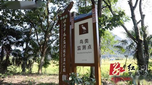 宁远：九嶷河国家湿地公园成为温馨的候鸟“驿站”