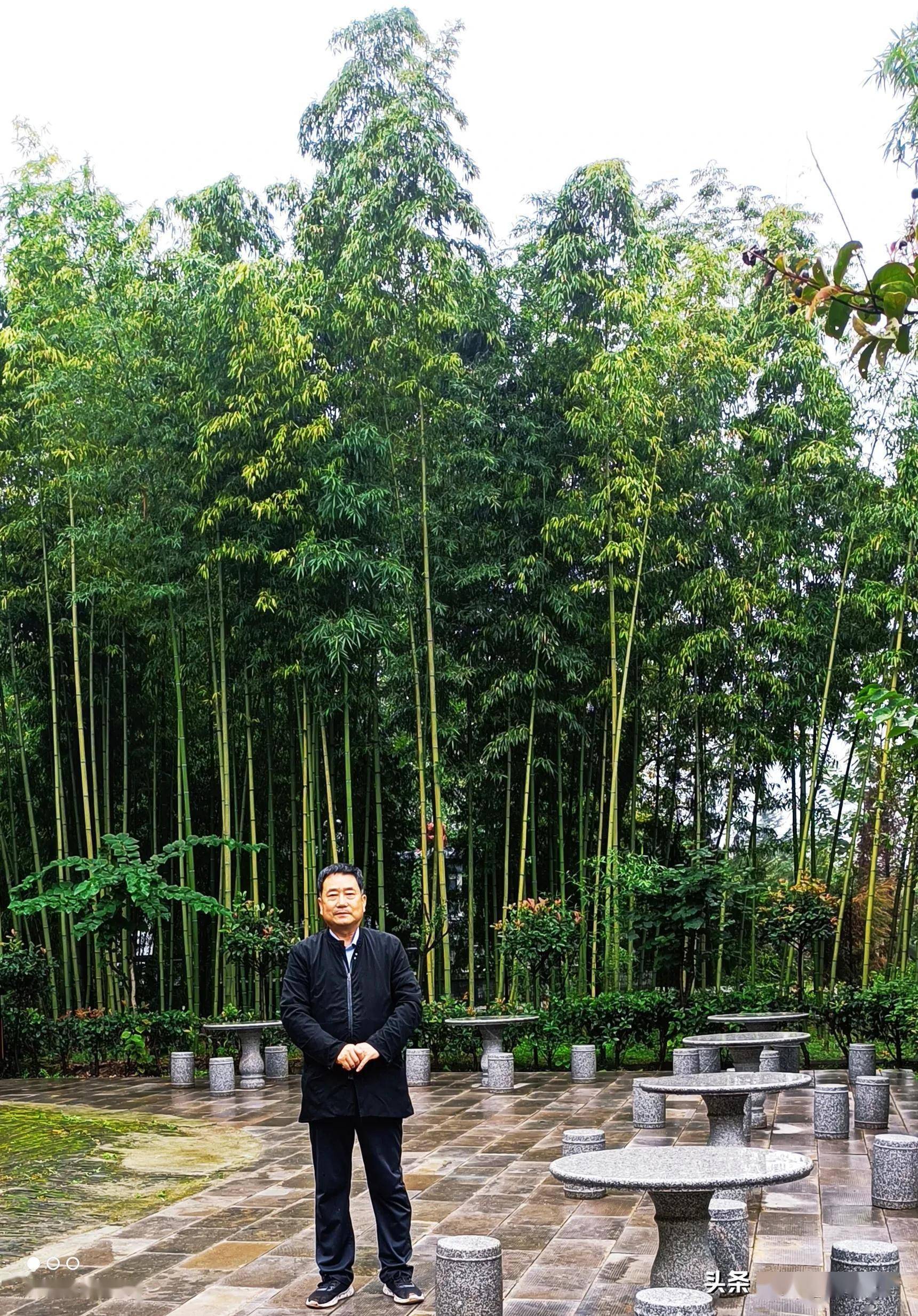 草堂寺新主持图片