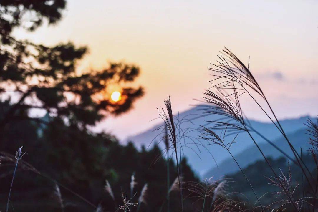 2faa3481d5a44d419fa14810da10220f.jpeg