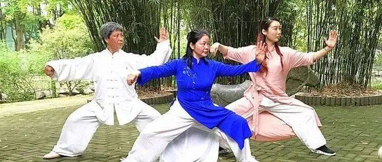 判断别人打太极拳合不合理?看好这六点就够了!_基本