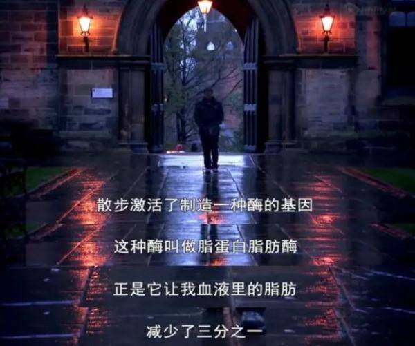 的测试|你每天的运动真的有效吗？英国一部纪录片的测试结果颠覆常识！