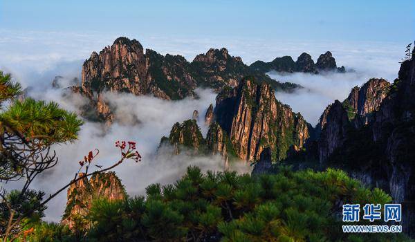 霞光|安徽黄山：秋日云海披霞光