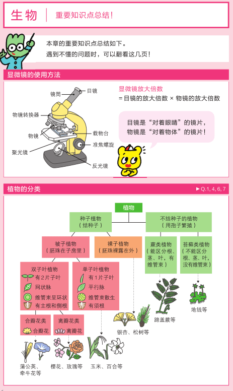 Michael钱儿频道 理科学习 想要孩子学懂会用不畏难 这个方式简单有趣对症 漫画