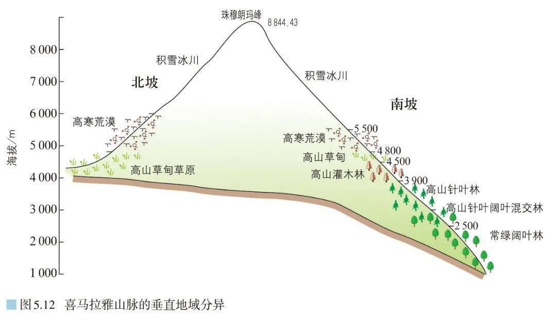 被誉为山地植被类型的天然博物馆为中国最全的垂直地带性分布拥有的近