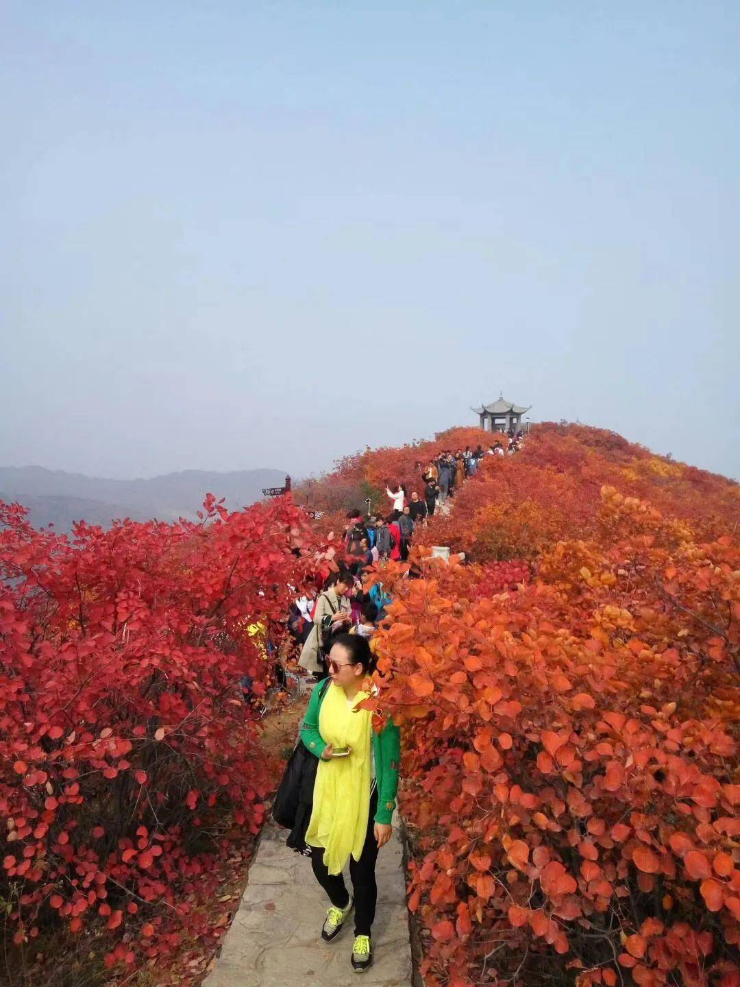 园区|郑州这些地方入围！河南新增一批乡村旅游特色村、生态旅游示范镇、休闲观光园区