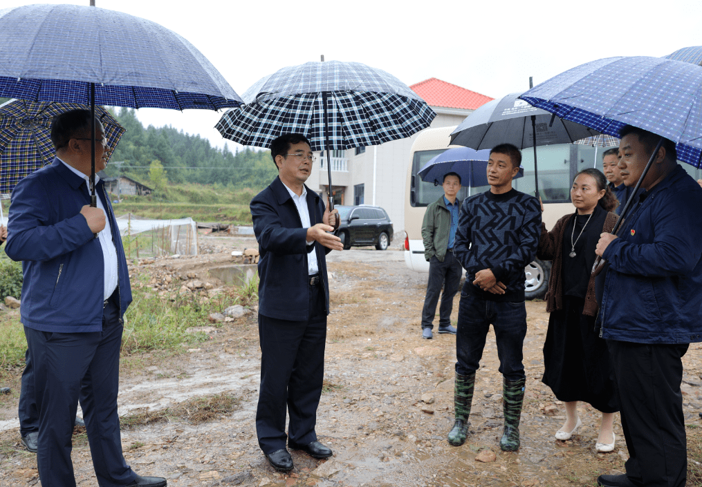 范运田调研乡村振兴工作_黄茅村