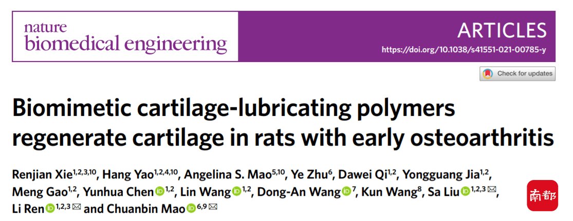 关节|治疗早期骨关节炎，华南理工科研成果在Nature子刊发表
