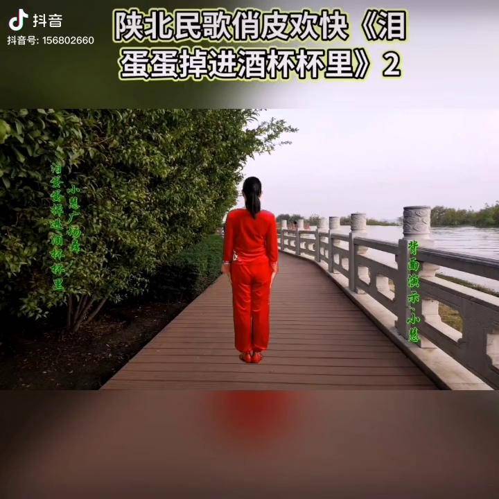 陕北民歌俏皮欢快泪蛋蛋掉进酒杯杯里2背面演示广场舞dou起来