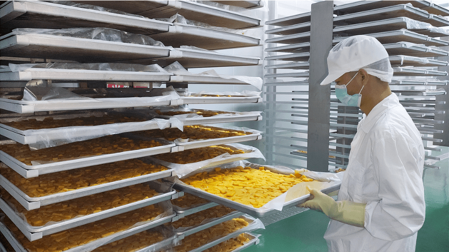 深加工车间正式投产以后,预计年生产冻干产品能够达到150吨左右,处理