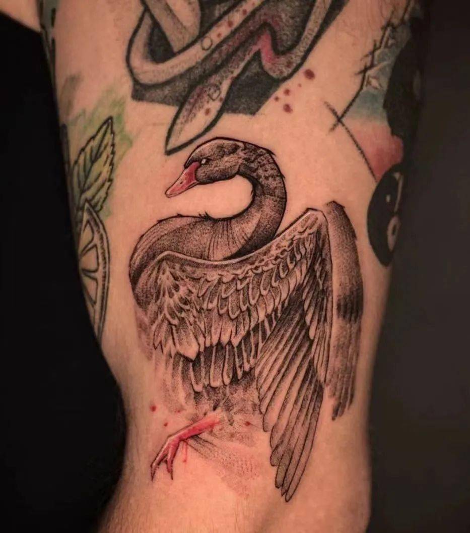 高贵的黑天鹅纹身