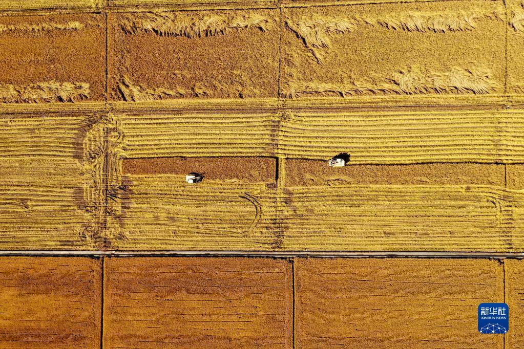 怎么进入金黄市 9e9648e05d3146c1995dc3c8bc1c9410.jpeg