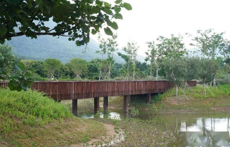 深圳七娘山下"网红"公园8座新桥征名