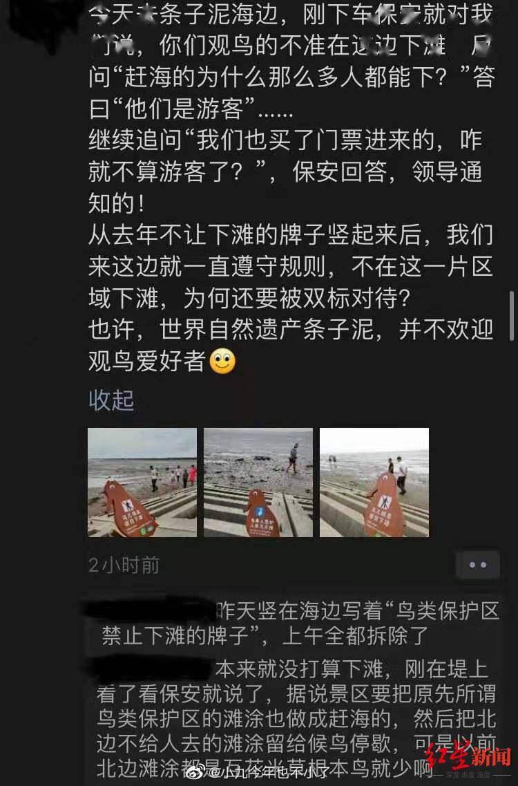 游客|极危物种勺嘴鹬保护区被大量游客涌入赶海 疑开发为游乐园 景区：禁止下滩，人流量过大难以控制