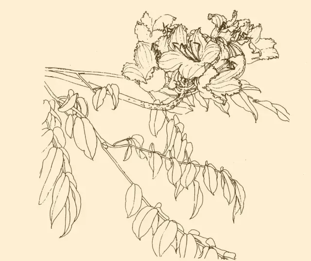 d9e4c62a140b479b95053605c4ea084e.png