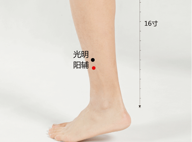 什么是少阳老阴 1390fa03e2d74f329f4cbfb05019d5f1.png