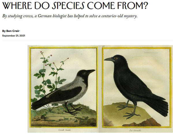 问题|本·克莱尔：“物种”从哪来？