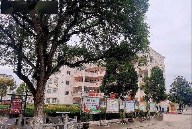 每日校训 | 安徽省潜山市梅城小学:爱,成就希望