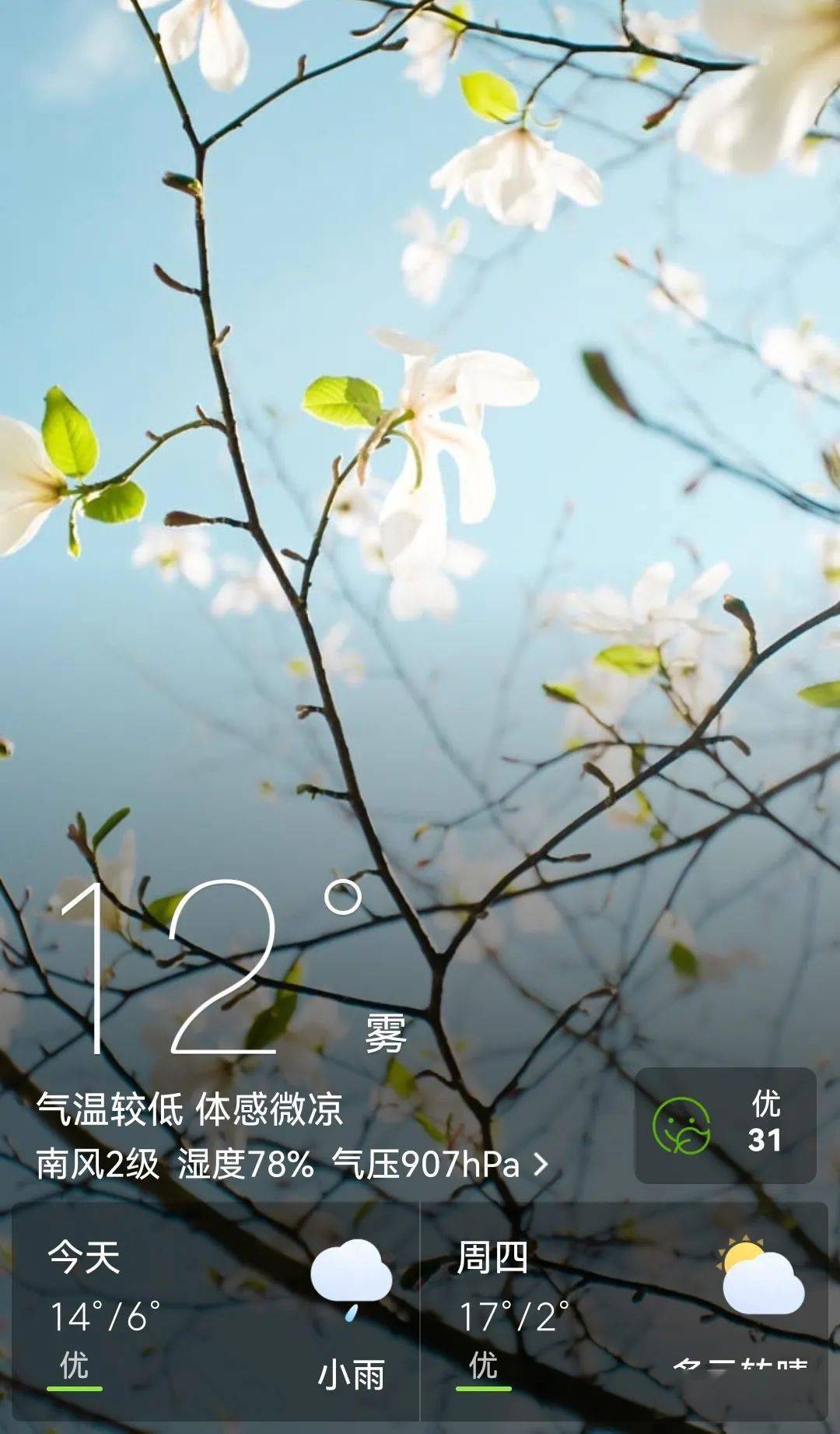 托克托天气在线