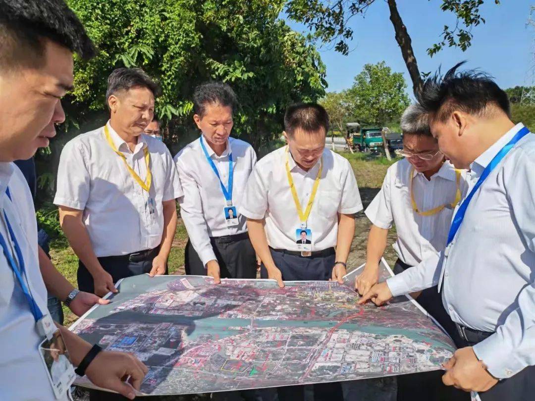 杨斌带队调研钦州港片区重点项目建设情况