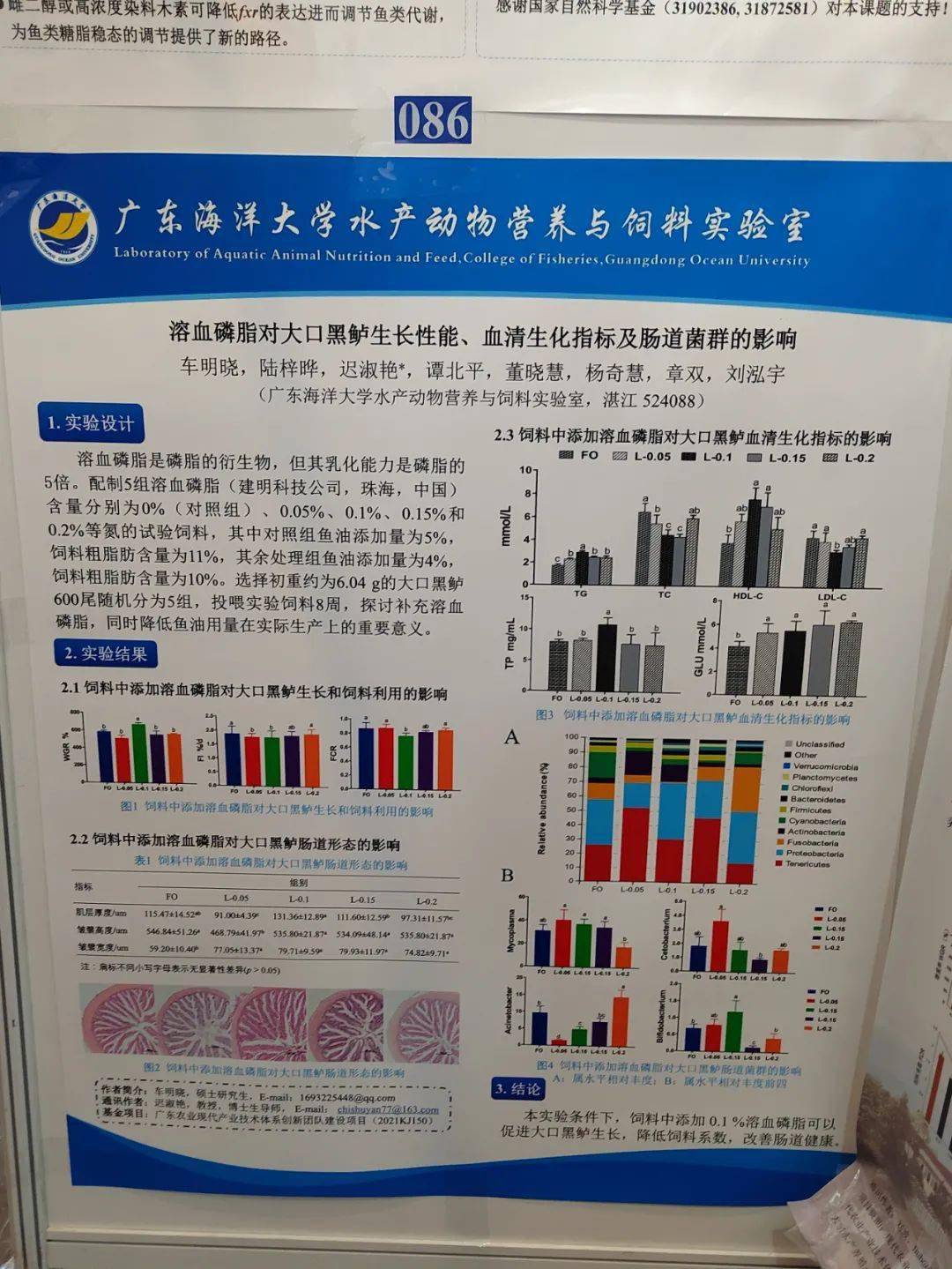 优秀学术会议墙报ppt图片