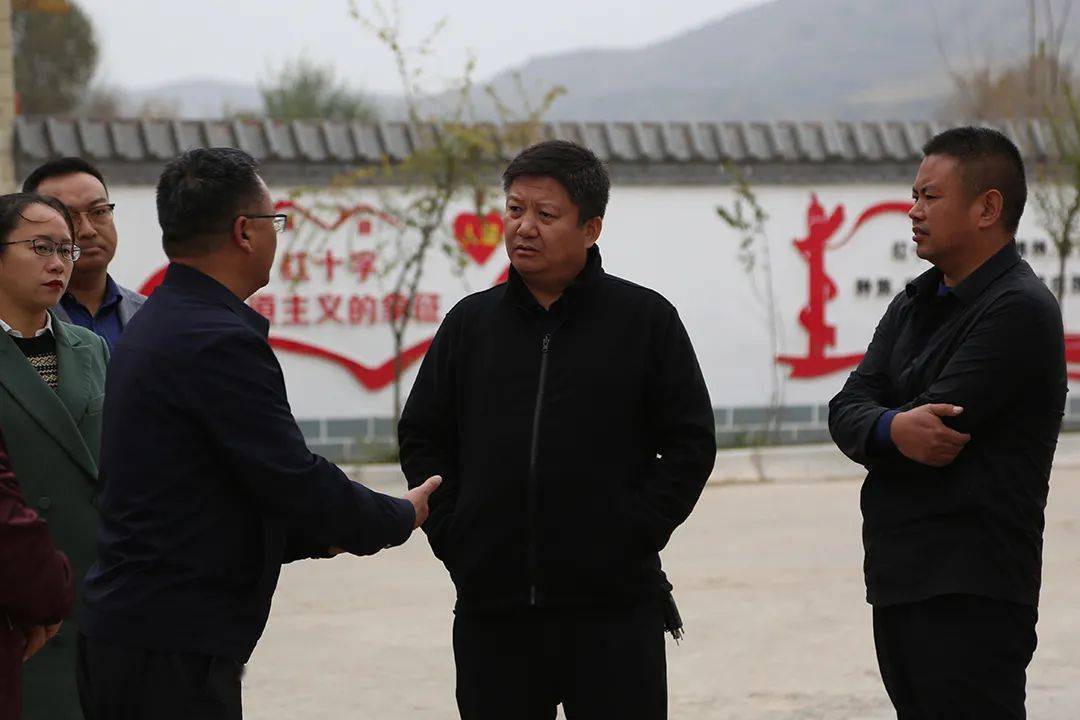 县委副书记县长王国栋赴丹麻镇调研农业农村及乡村振兴等工作