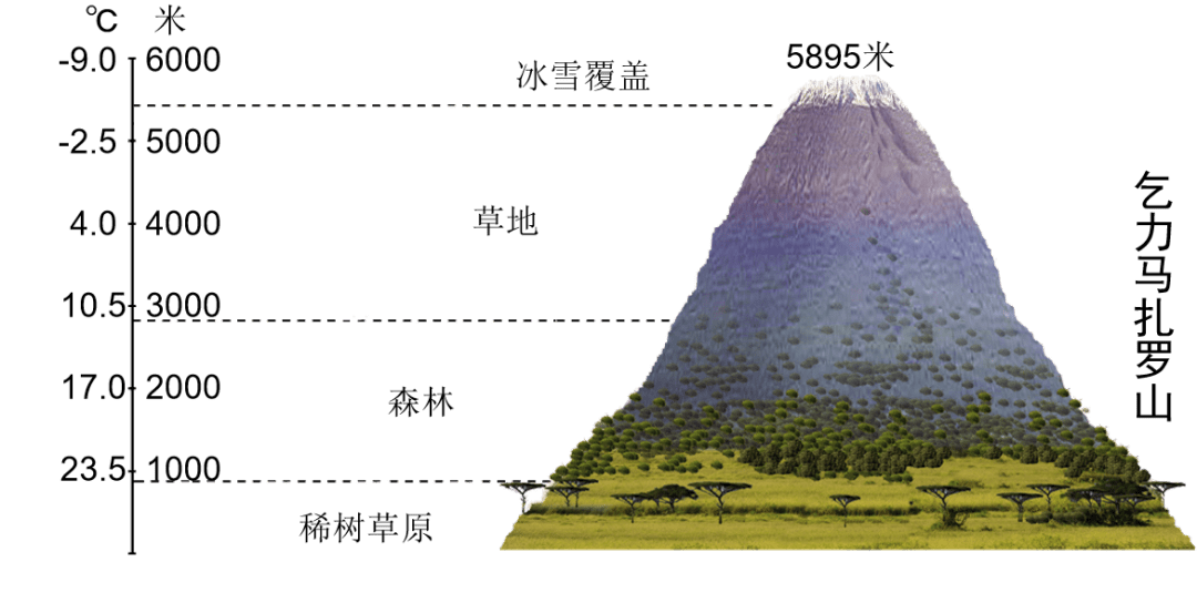 高原山地气候直方图图片