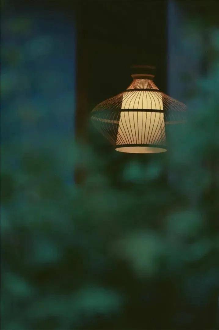 摄影作品欣赏禅境