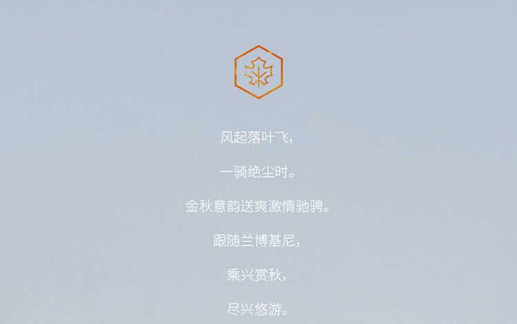 叶知秋曲谱_落叶知秋图片(5)