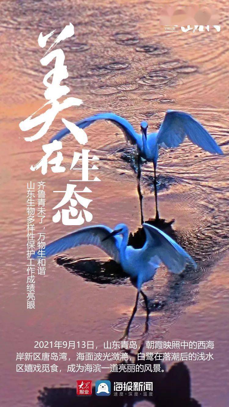 山东 这就是山东丨山东的秋天为什么这么美?