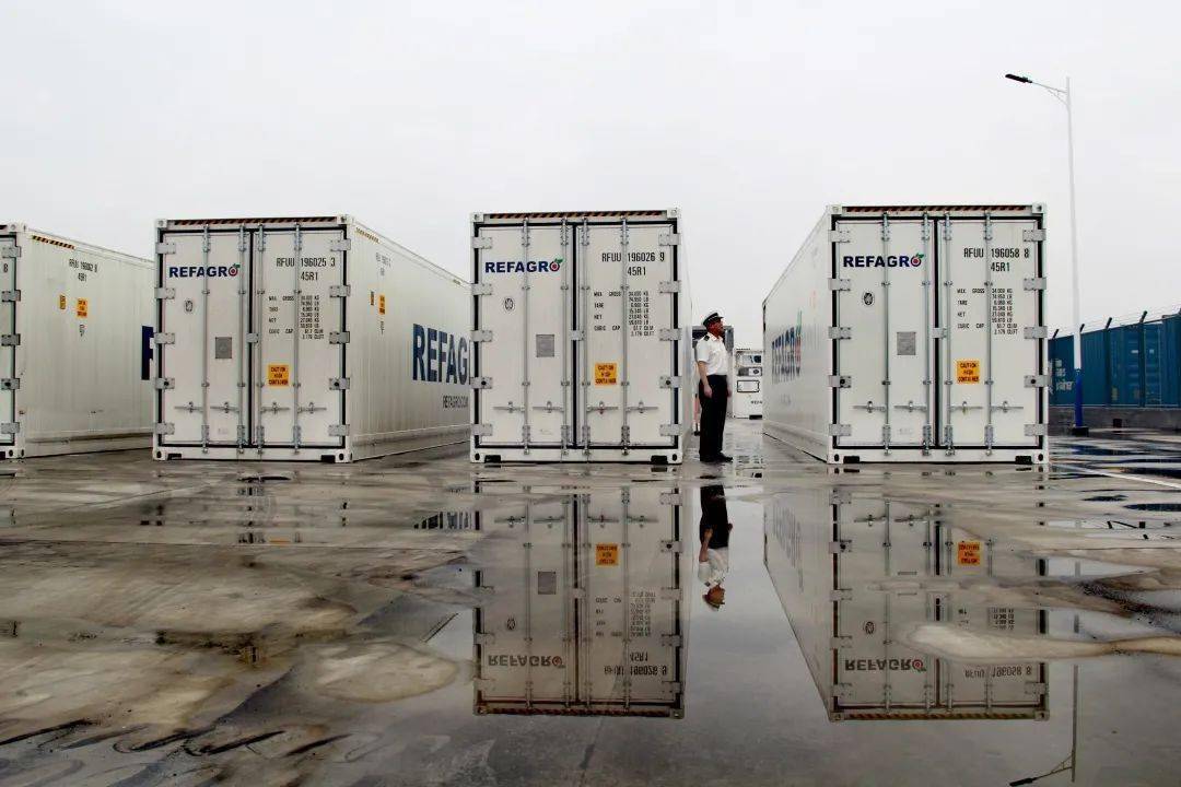 此趟冷链专列的顺利开行,填补了济南市国际铁路冷链运输的空白,为山东