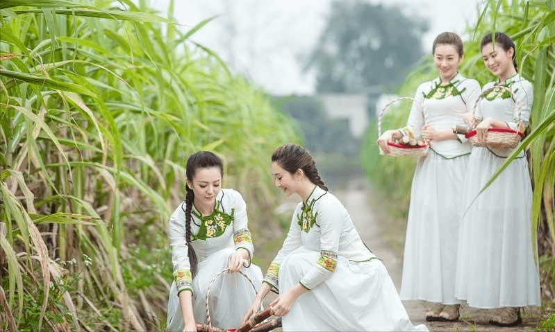 乡土散文雅安之雅女