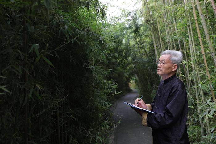 徐秉方|非遗寻访|“刀竹人生”徐秉方：苍枝新篁，满幅烟云